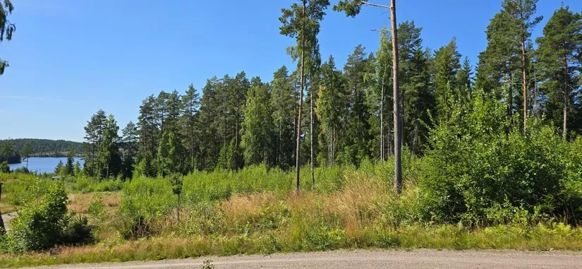 Tomt, Älgåna 1:71, Årjäng
