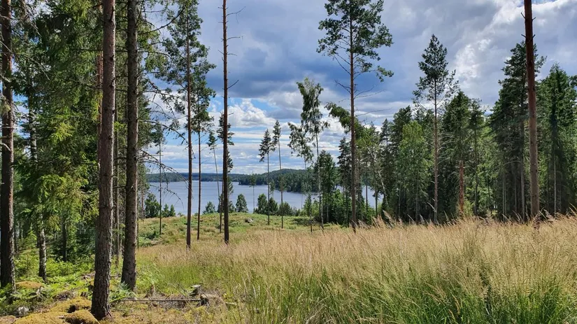 Tomt, Älgåna 1:71, Årjäng