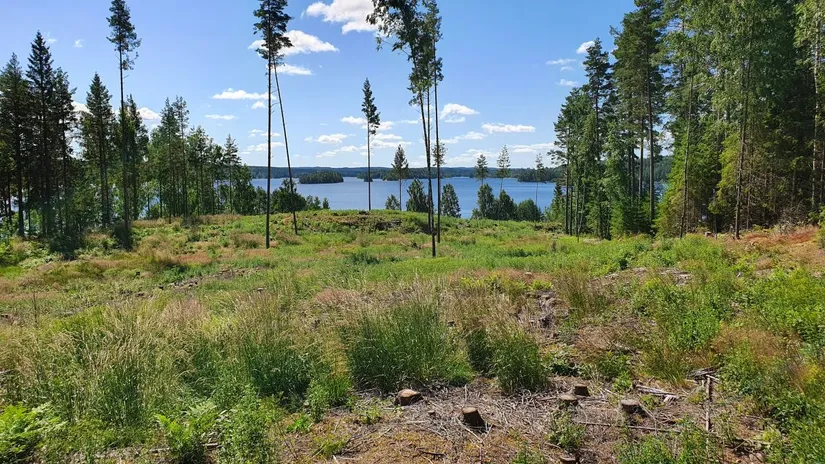 Tomt, Älgåna 1:71, Årjäng