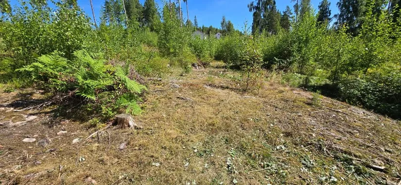 Tomt, Älgåna 1:71, Årjäng