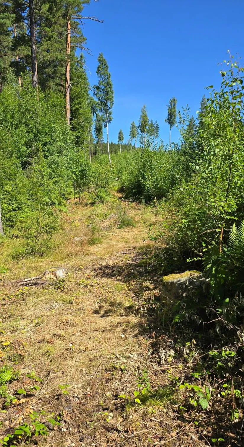 Tomt, Älgåna 1:71, Årjäng