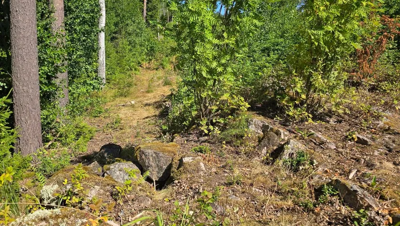 Tomt, Älgåna 1:71, Årjäng