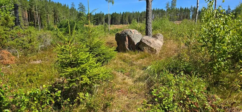 Tomt, Älgåna 1:71, Årjäng