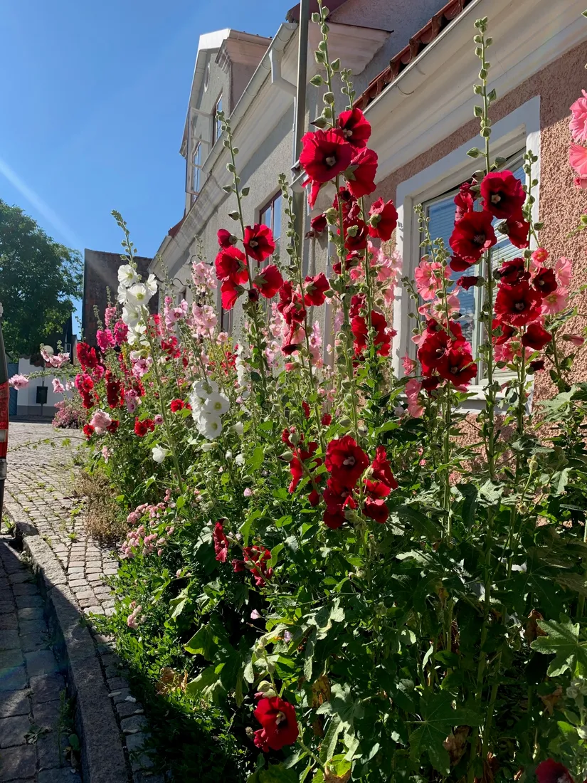 Villa, Nygatan 13, Klinten Visby, Gotland