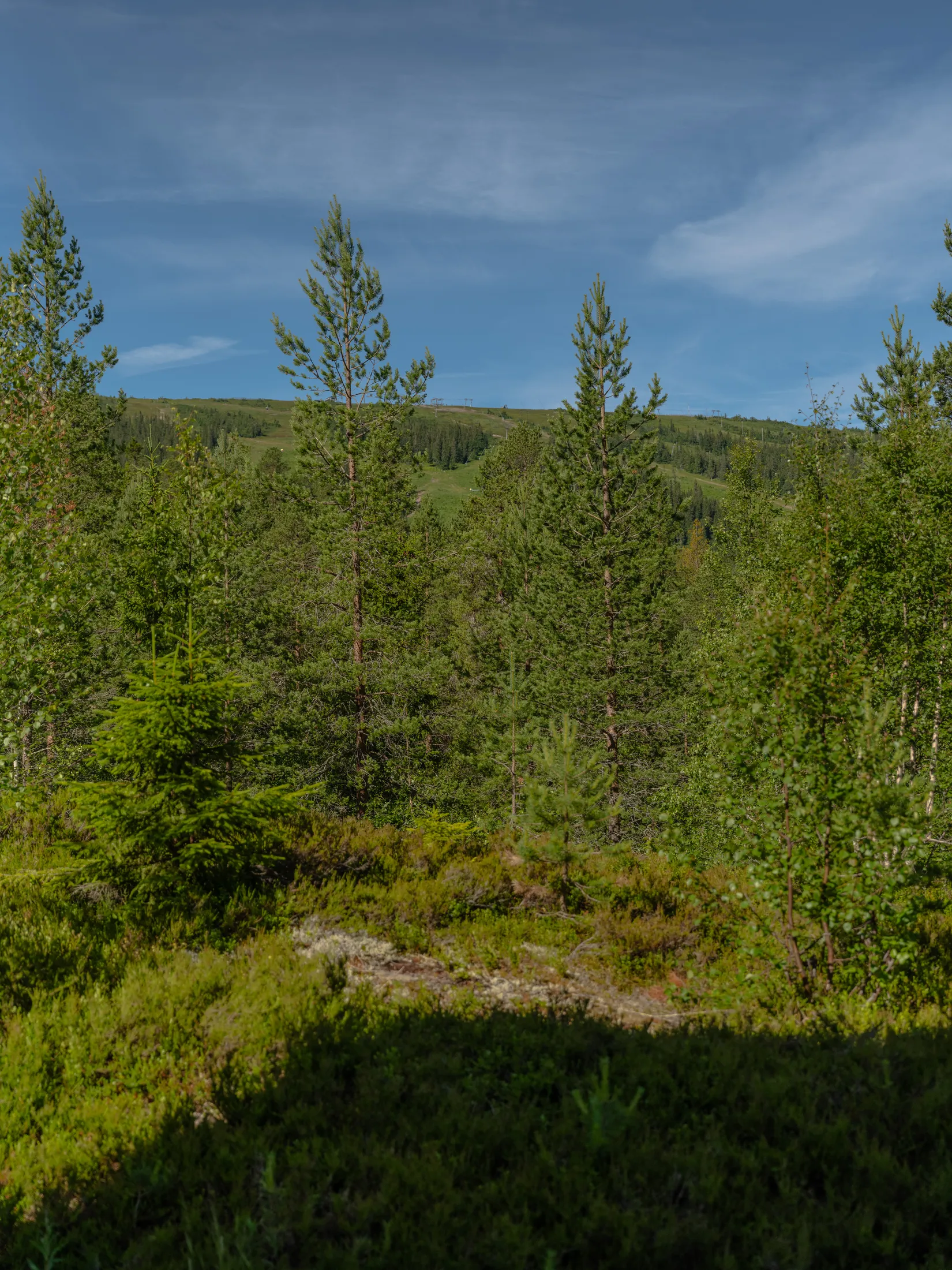 Bostadsrätt, Tjäderåsvägen 12C, Lindvallen, Malung-Sälen