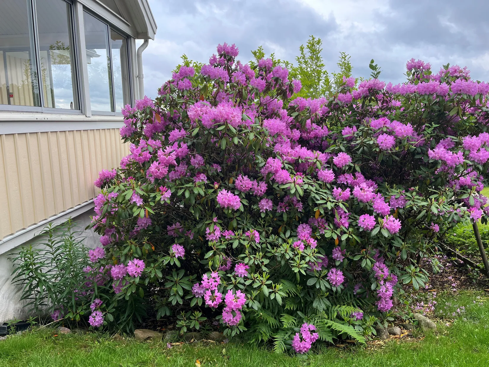 Villa, Håkons gata 14, Centrum Kungälv, Kungälv