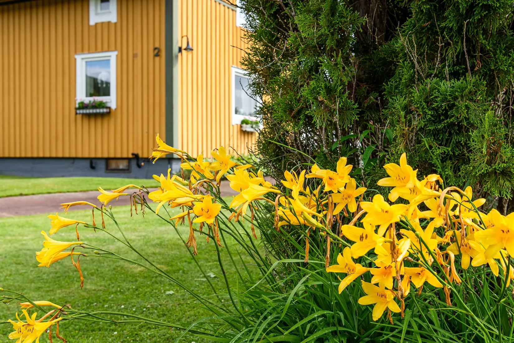 Villa, Blåklintsvägen 2, Klarälvdalen norra, Torsby