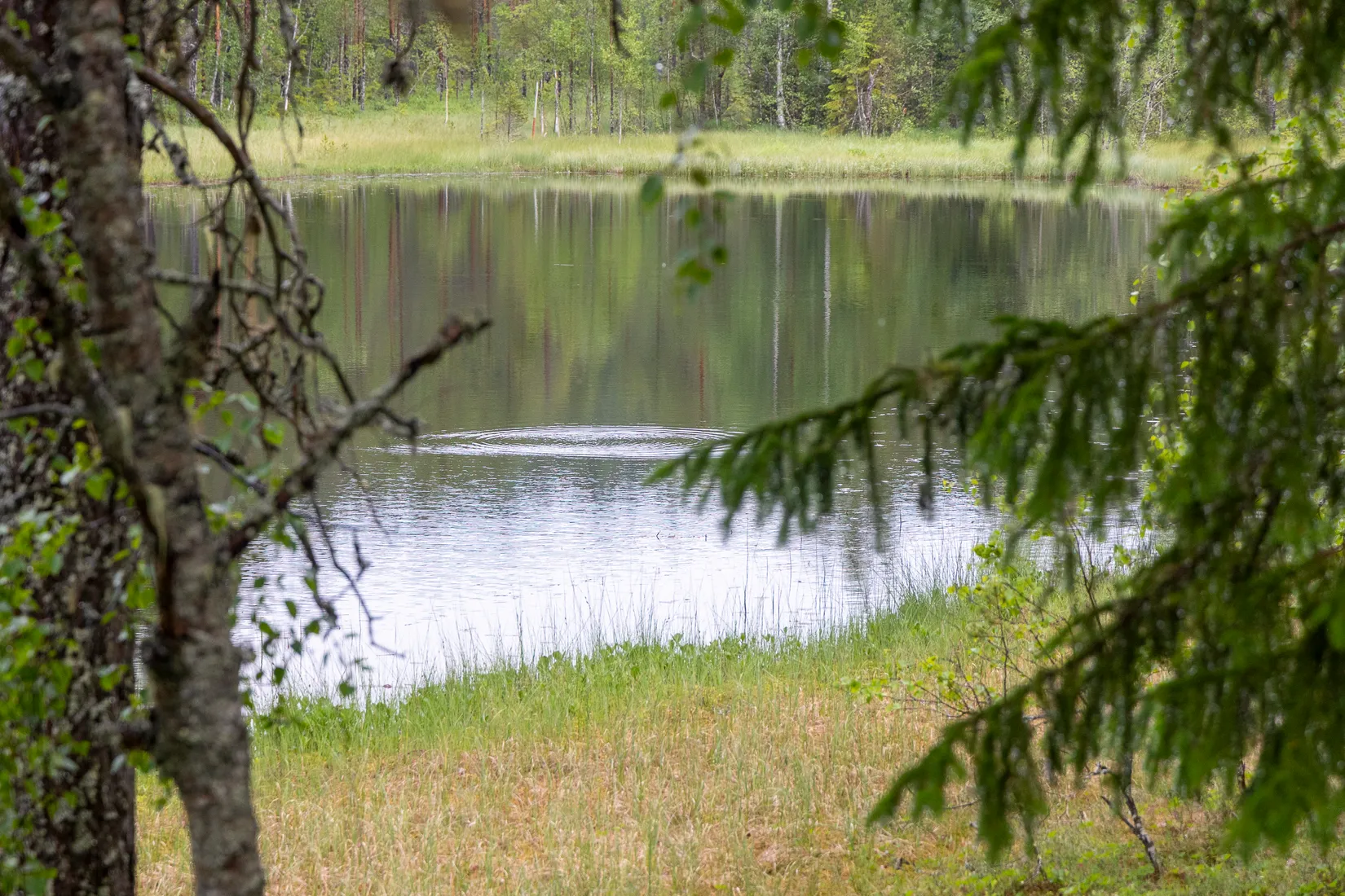 Tomt, Nor Öratjärn 3, Järvsö, Nor, Ljusdal