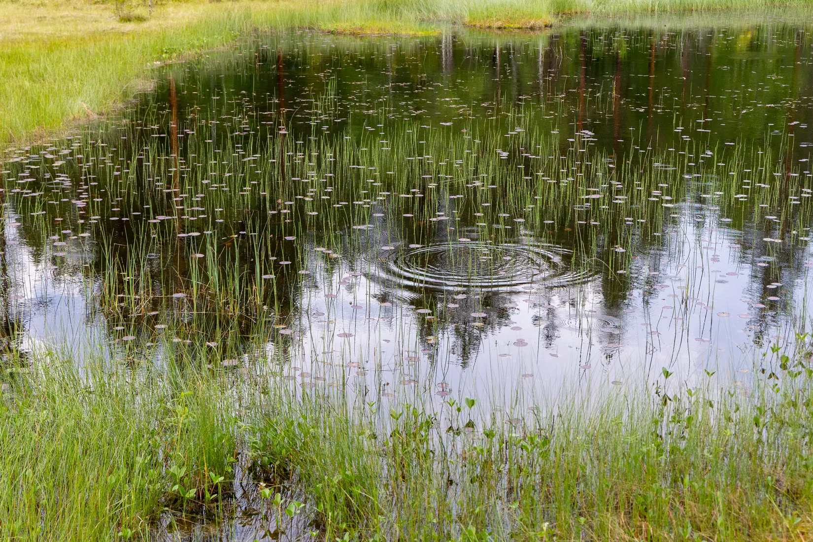 Tomt, Nor Öratjärn 3, Järvsö, Nor, Ljusdal