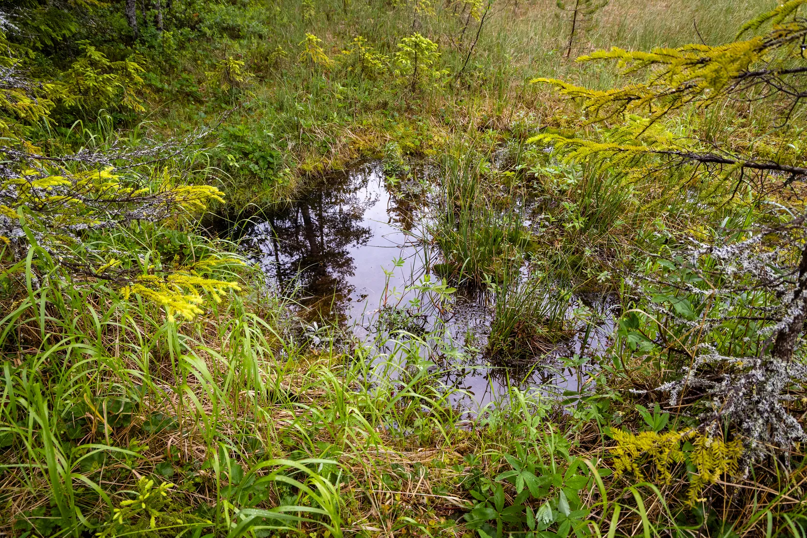 Tomt, Nor Öratjärn 3, Järvsö, Nor, Ljusdal