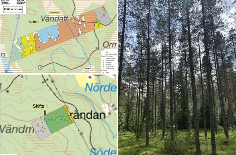 Gård/Skog, Dalbyn enligt Skogsbruksplan, Dalbyn, Rättvik