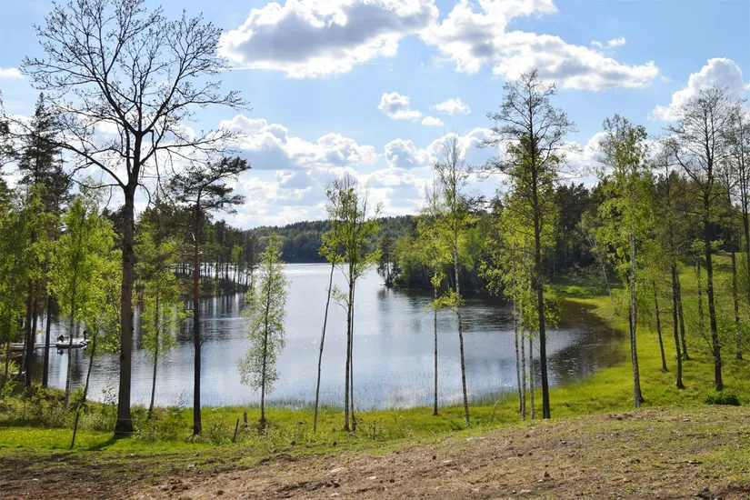 Gård/Skog, Slirud Sågbacken, Värmland, Säffle