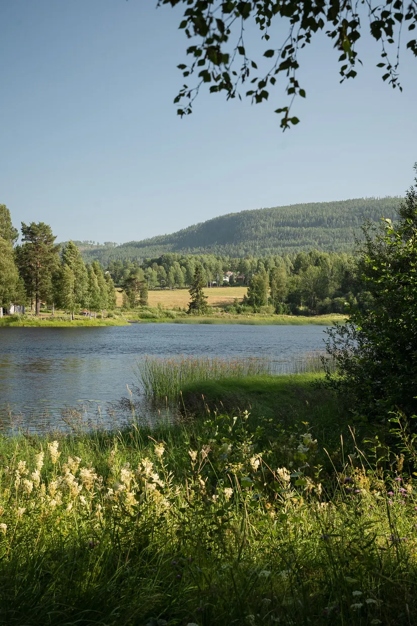 Villa, ÅNGE HAMMAR 1:4, Ånge
