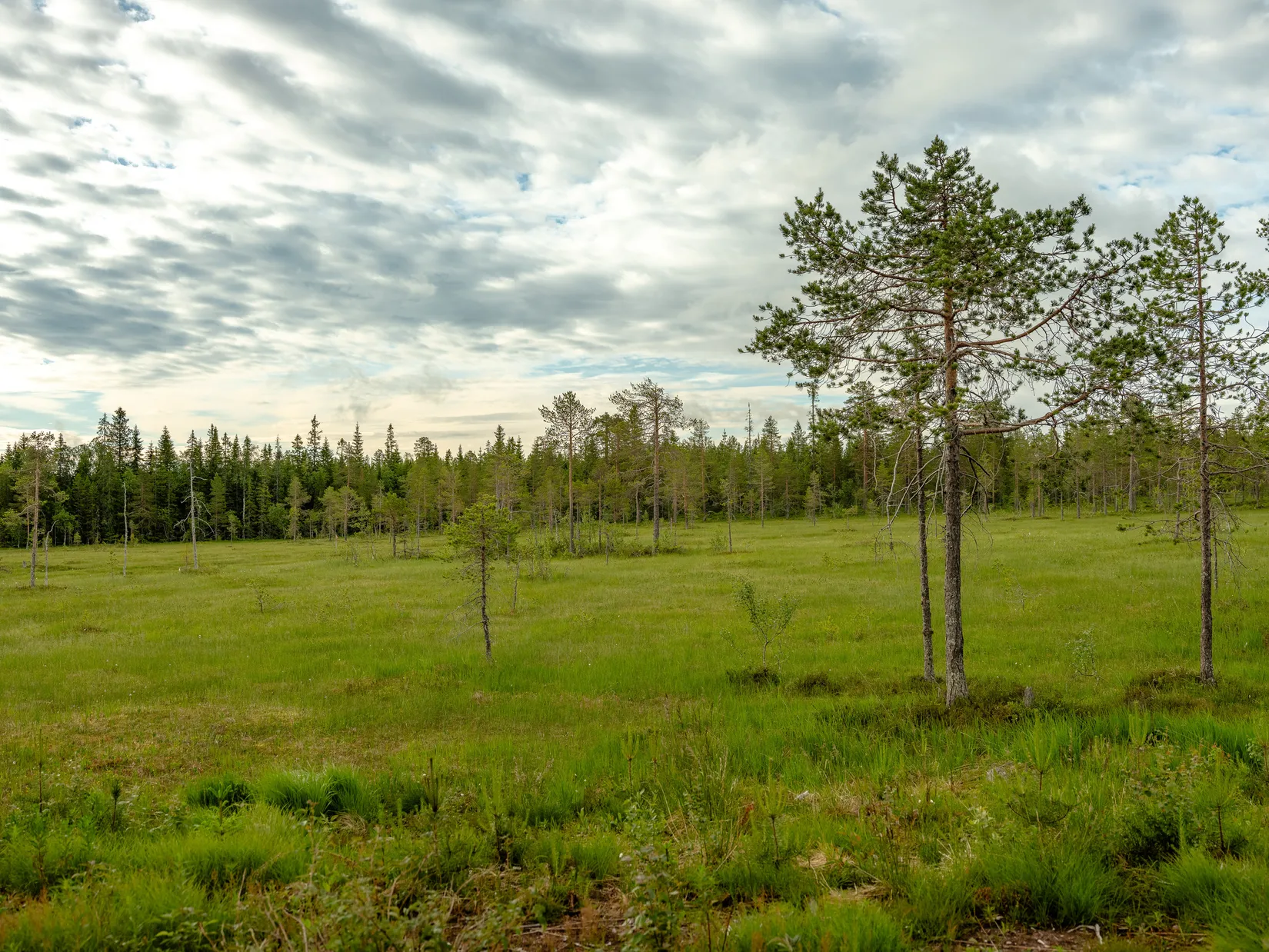 Bostadsrätt, Erk Olsmyran 14B, Erk-Olsmyran, Lindvallen, Malung-Sälen