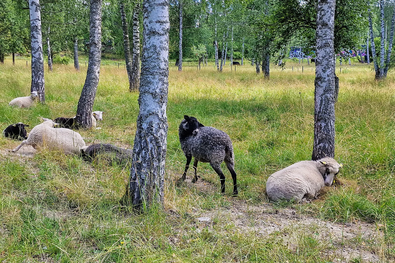 Bostadsrätt, Bäverbäcksgränd 16, Snösätra, Stockholm