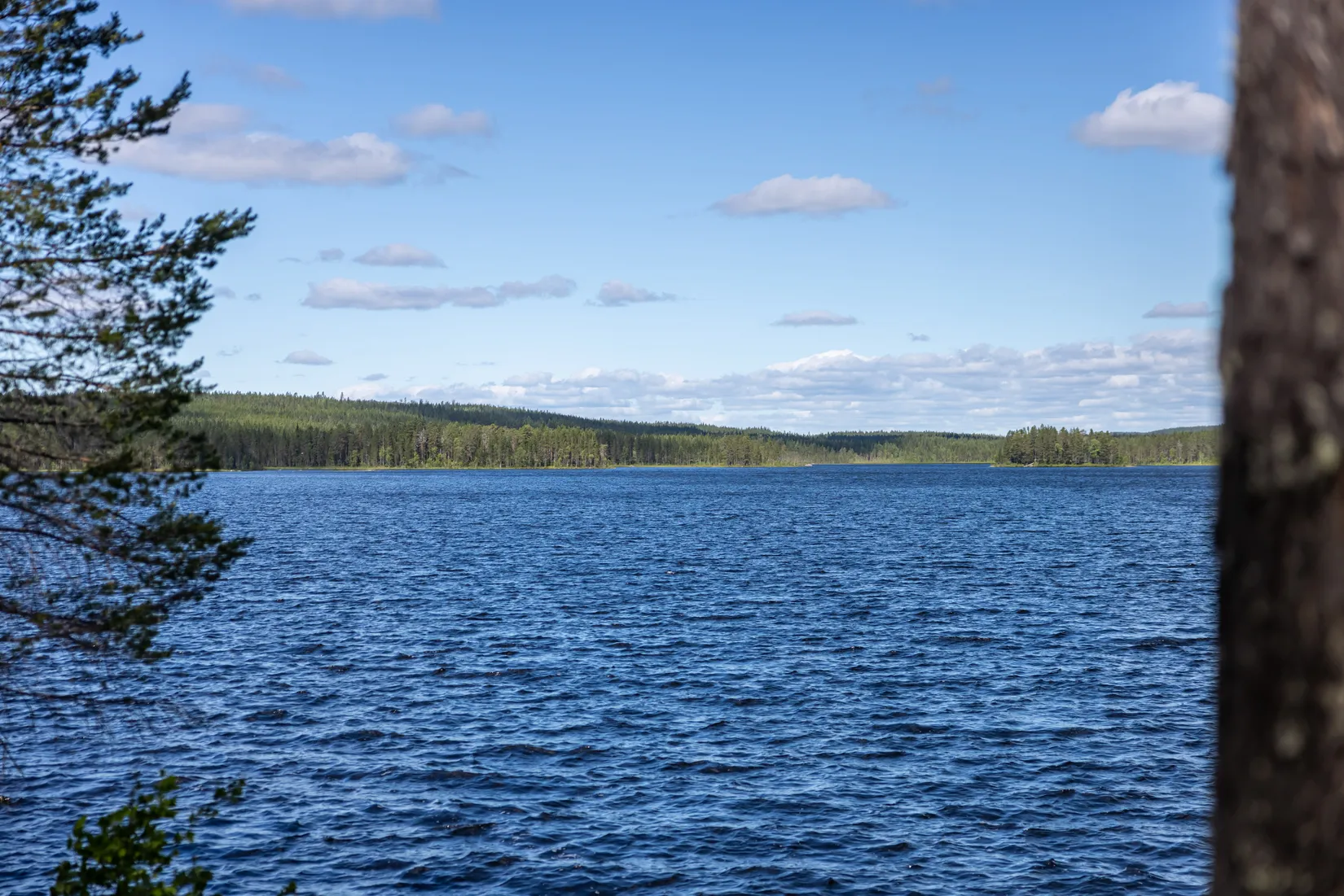 Fritidshus, Arvliden 25, Lycksele