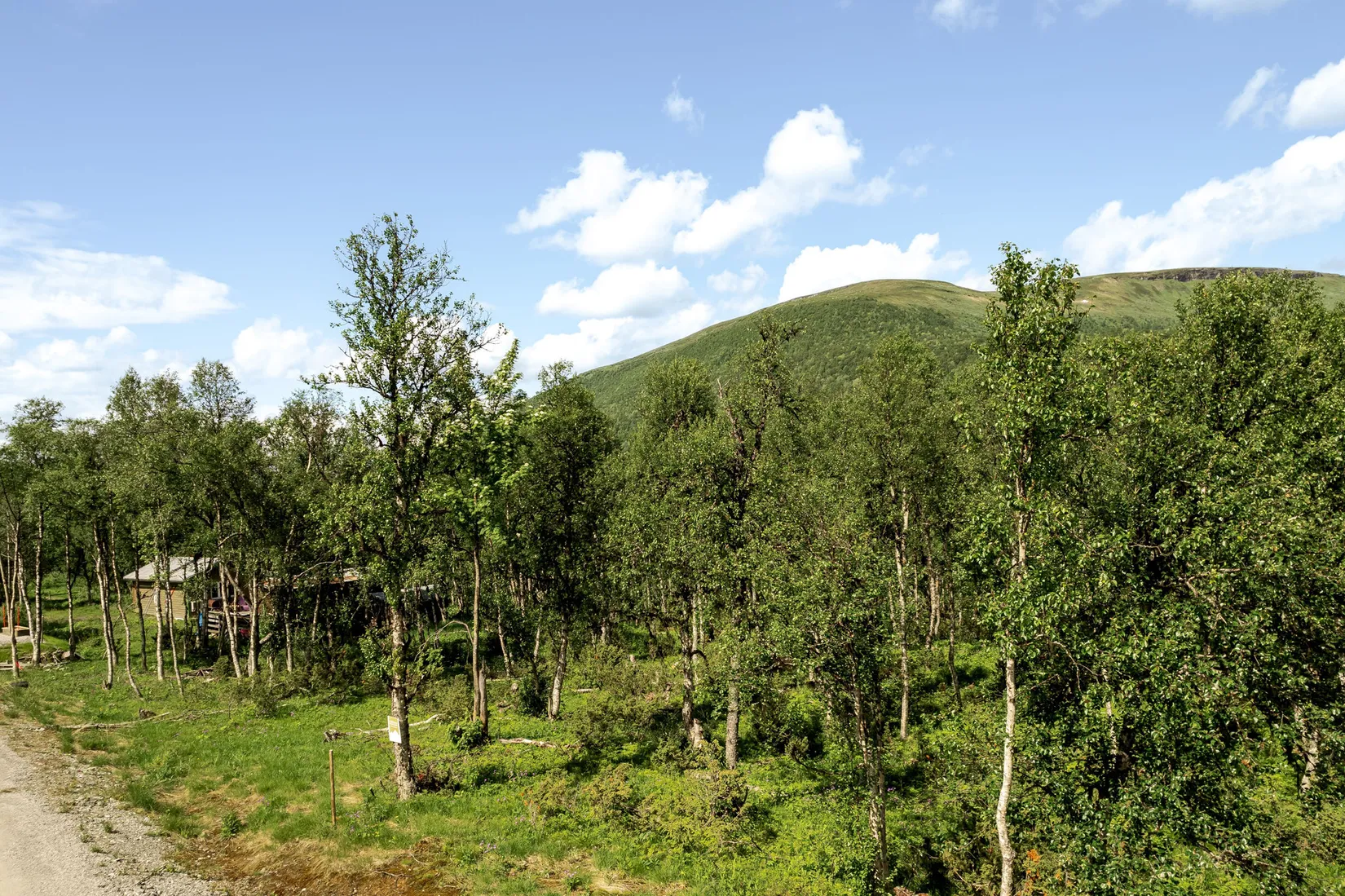 Tomt, Pålsvallen 401, Härjedalen