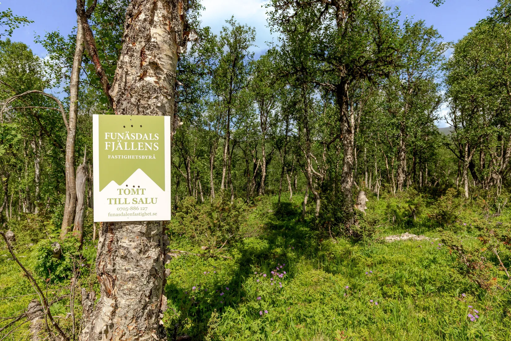 Tomt, Pålsvallen 401, Härjedalen