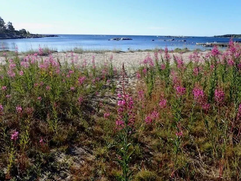 Fritidshus, Kvarnmyrvägen 34, Fjällbostrand, Norrtälje