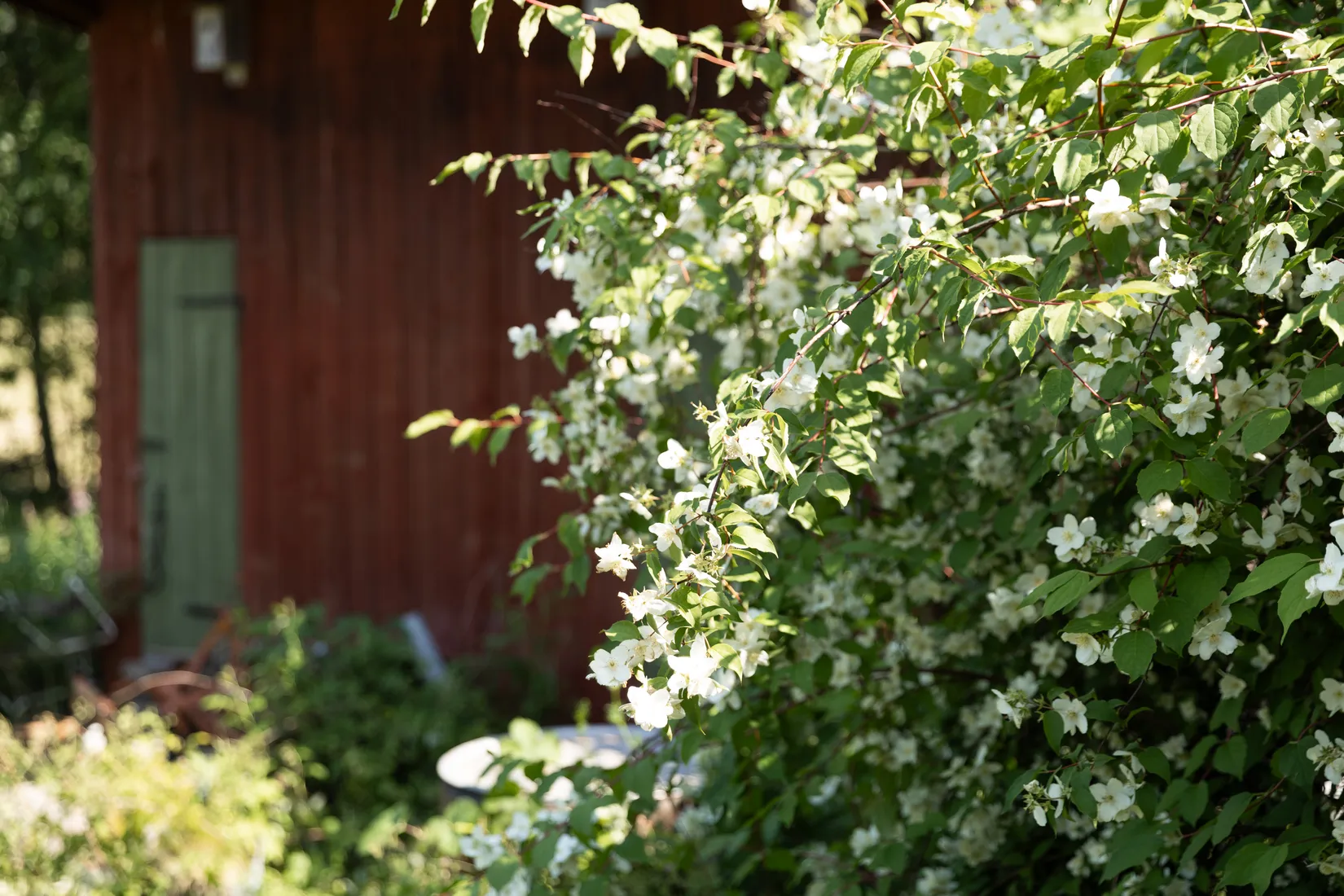Villa, Högbergstjärnsvägen 8, Järvsö, Nybo, Ljusdal