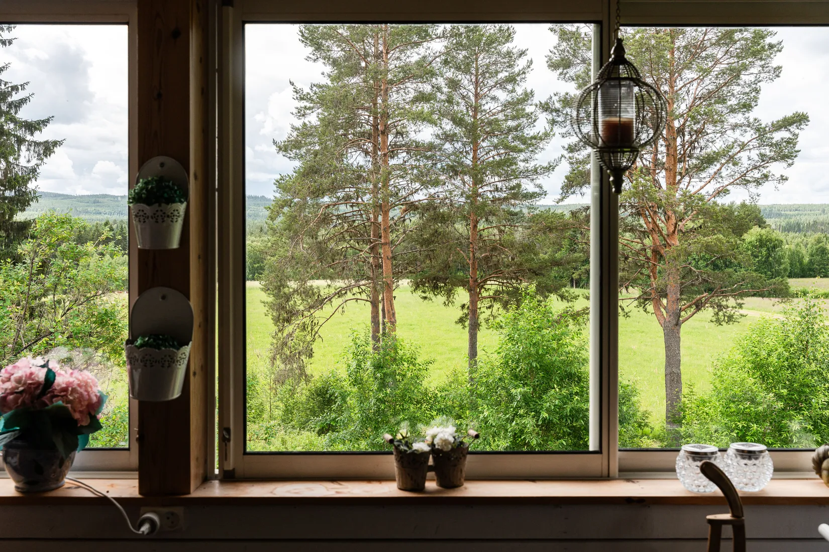 Gård/Skog, Strömnäs 303, Sollefteå