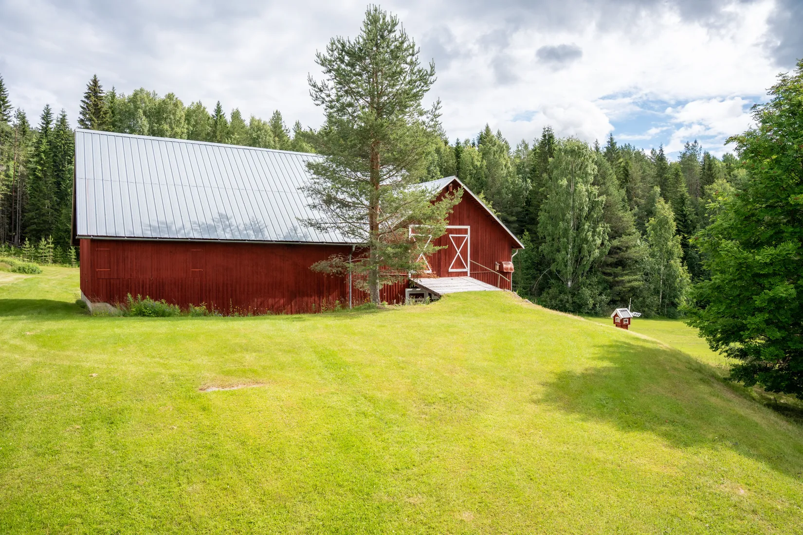 Gård/Skog, Strömnäs 303, Sollefteå