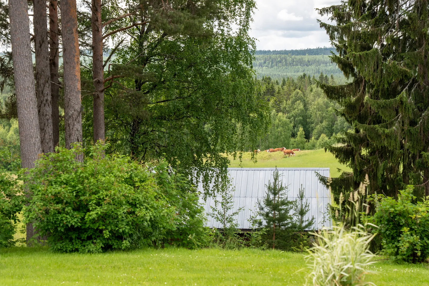 Gård/Skog, Strömnäs 303, Sollefteå