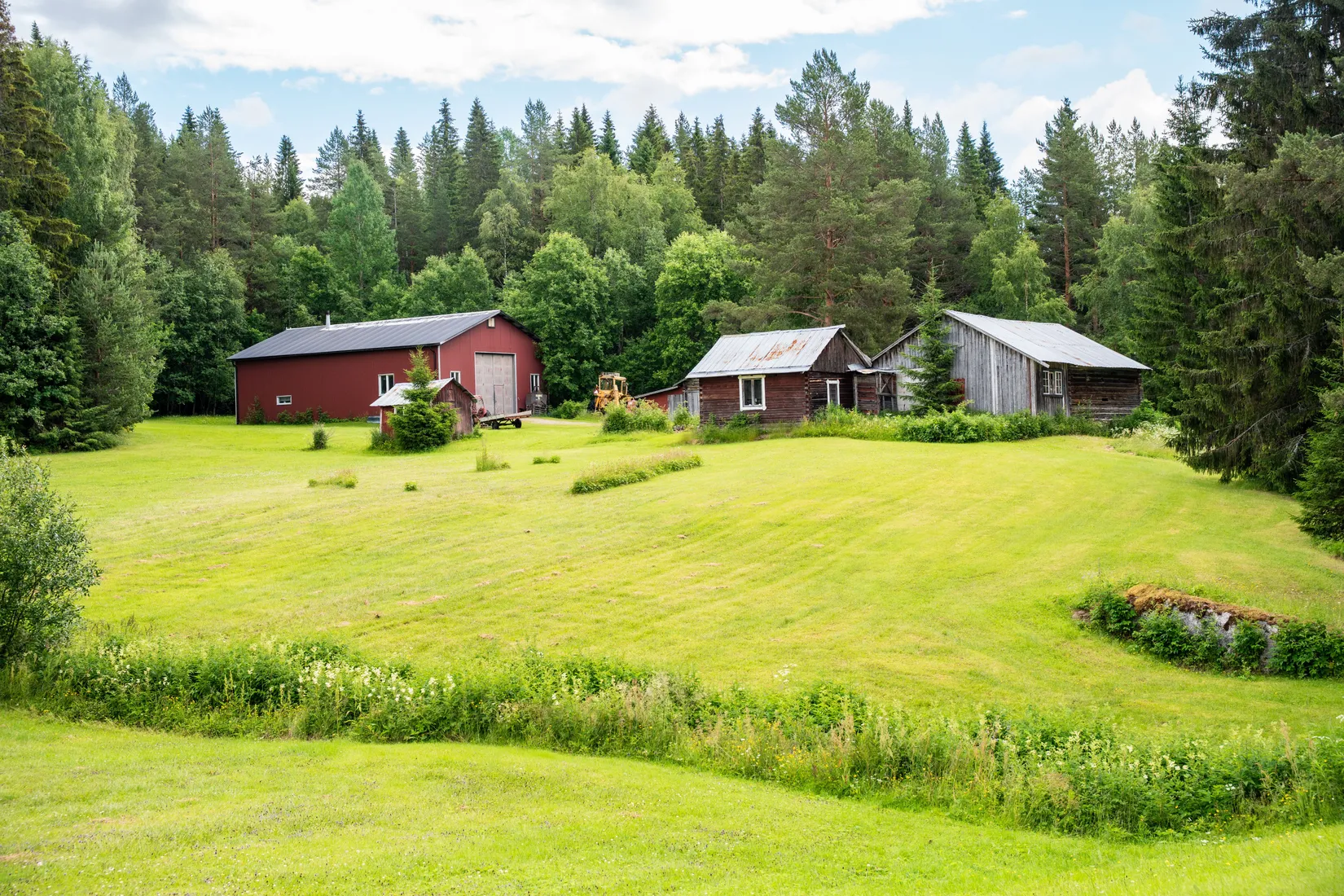 Gård/Skog, Strömnäs 303, Sollefteå