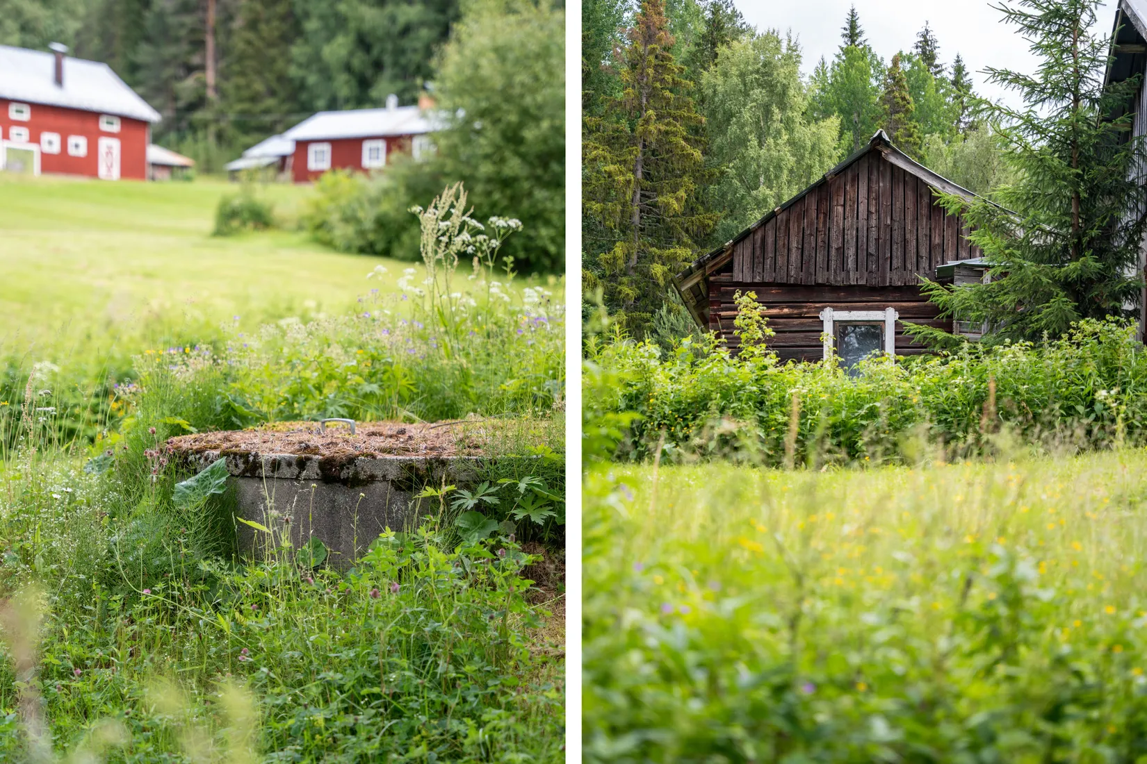 Gård/Skog, Strömnäs 303, Sollefteå