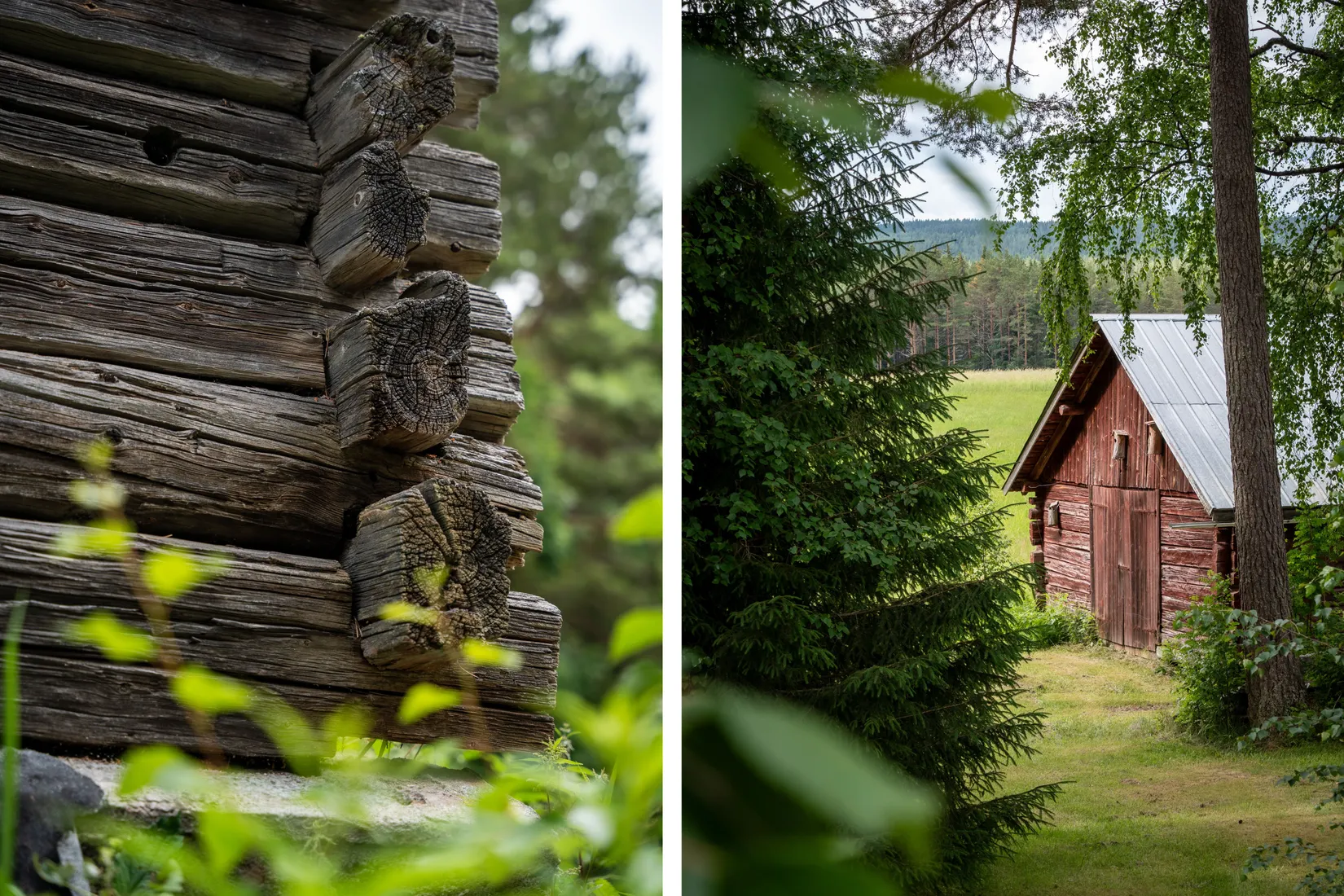 Gård/Skog, Strömnäs 303, Sollefteå
