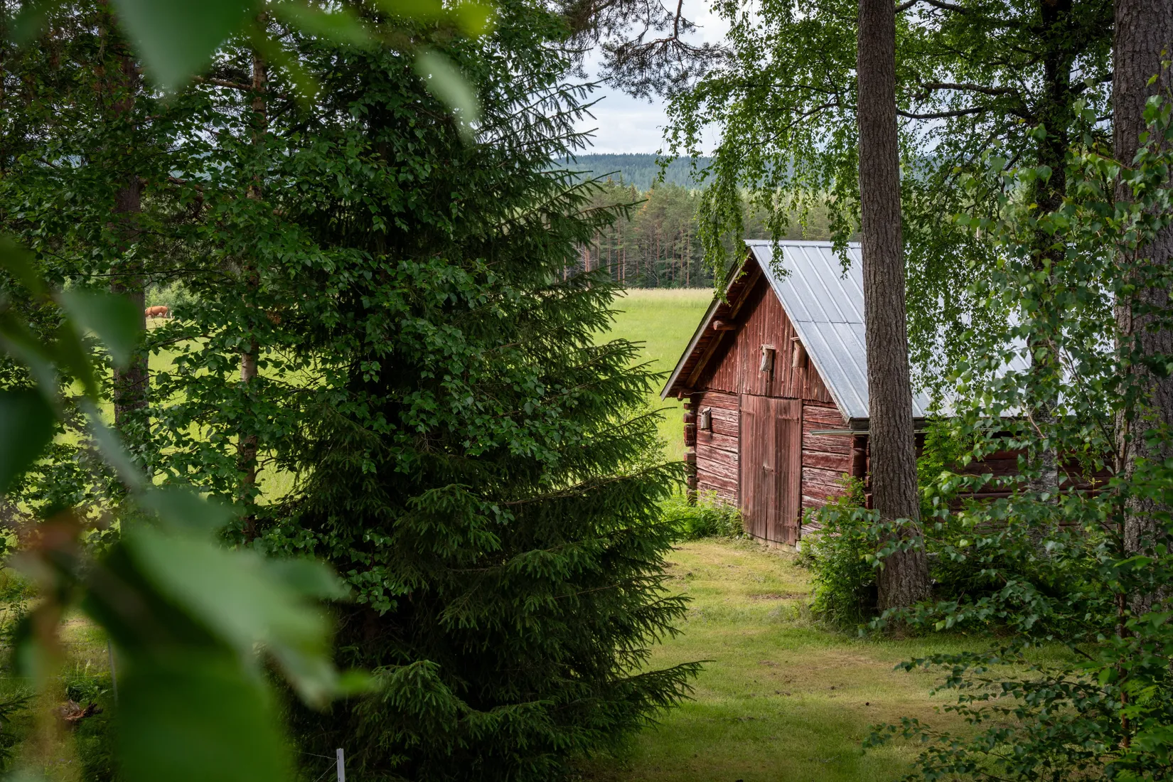 Gård/Skog, Strömnäs 303, Sollefteå