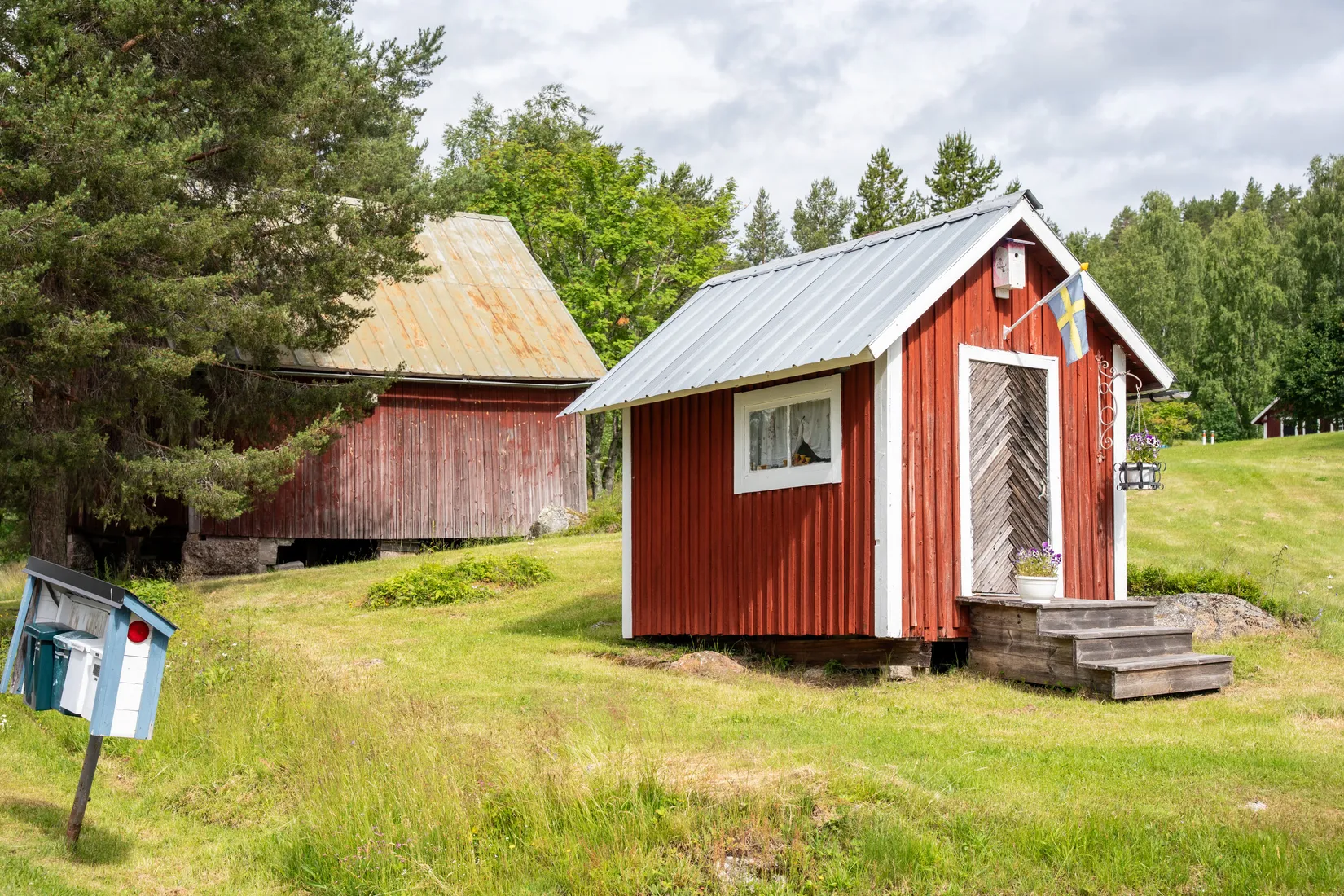 Gård/Skog, Strömnäs 303, Sollefteå