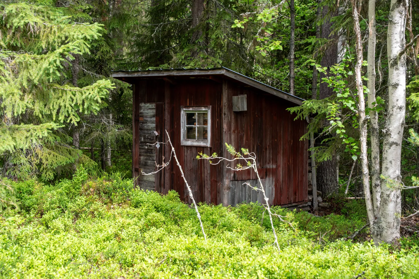 Gård/Skog, Strömnäs 303, Sollefteå
