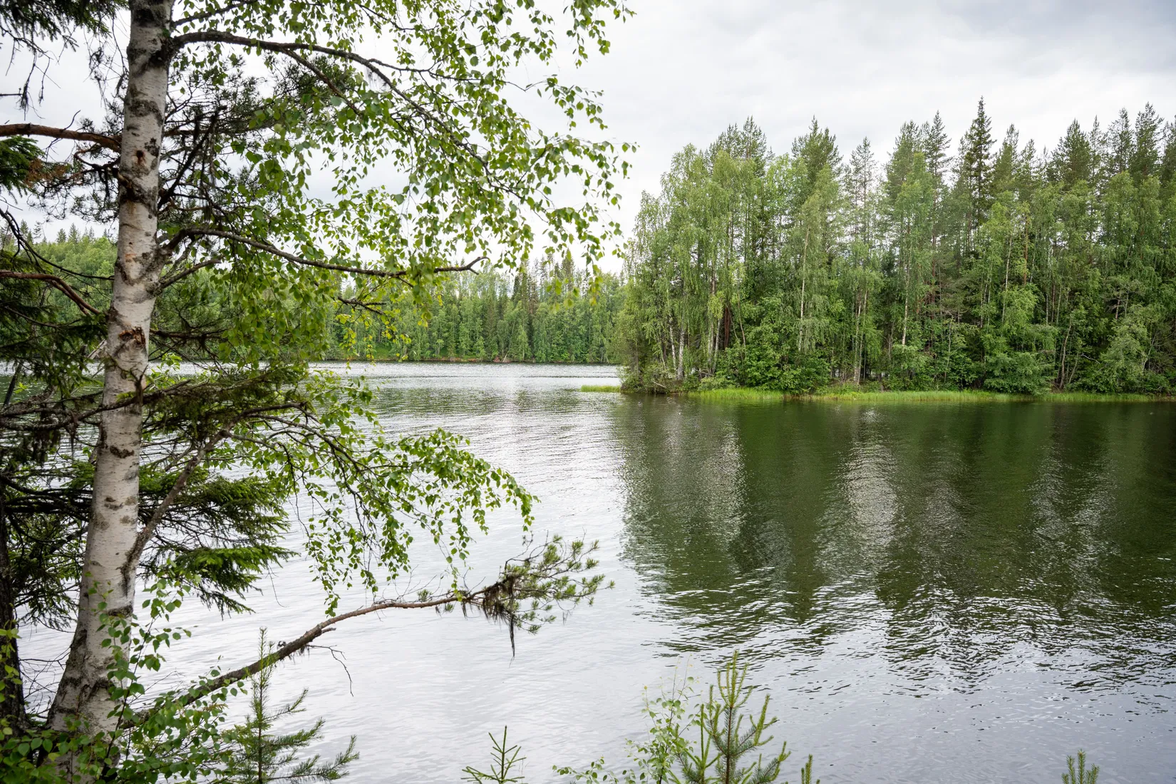 Gård/Skog, Strömnäs 303, Sollefteå