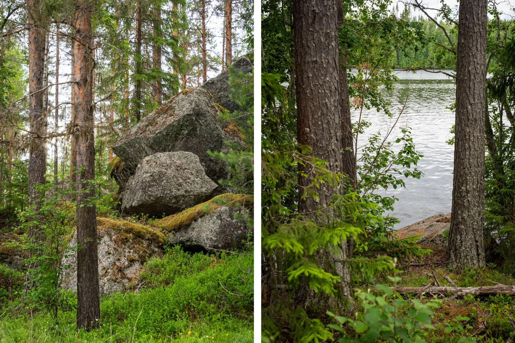 Gård/Skog, Strömnäs 303, Sollefteå
