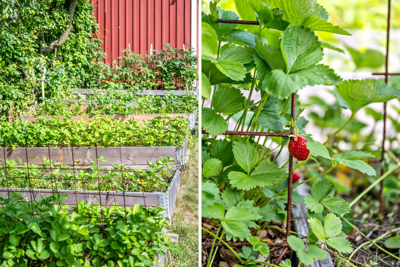 Radhus, Åvägen 68, Lidatorp, Nynäshamn