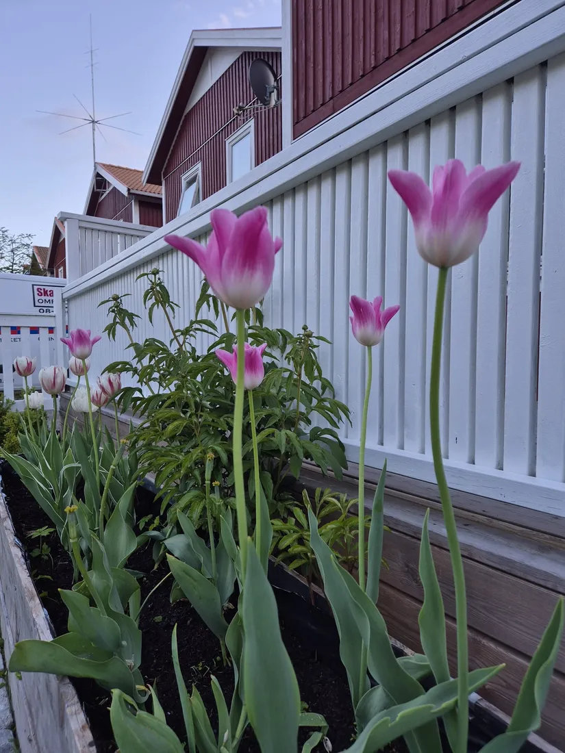 Radhus, Åvägen 68, Lidatorp, Nynäshamn