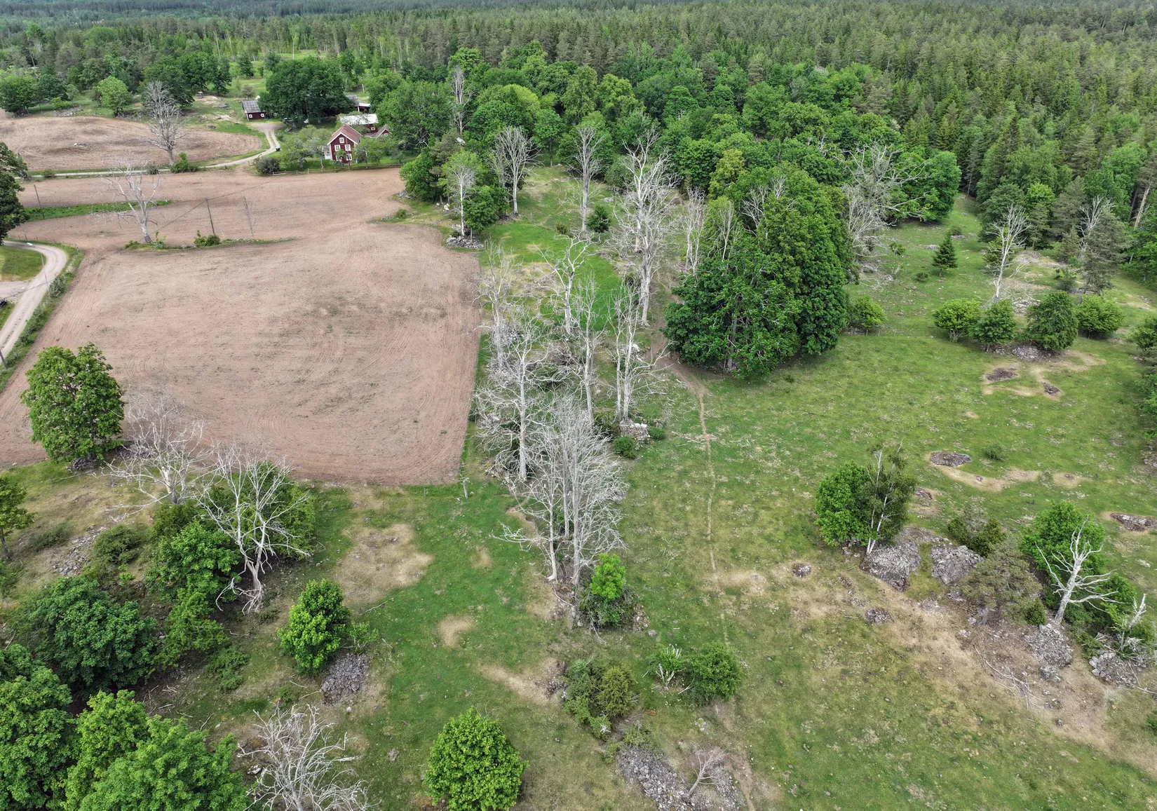 Gård/Skog, Rås 1, Hultsfred