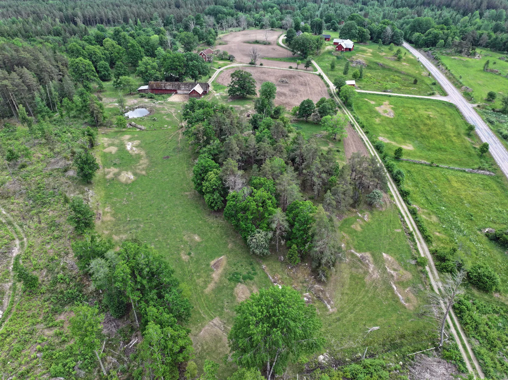 Gård/Skog, Rås 1, Hultsfred