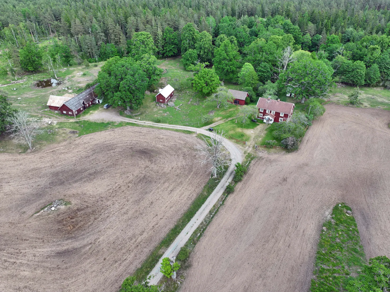 Gård/Skog, Rås 1, Hultsfred
