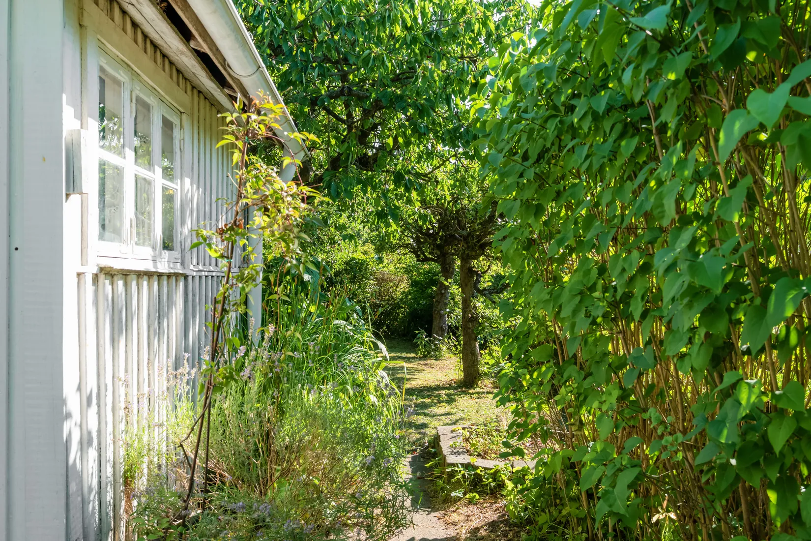Fritidshus, Rådmansgatan 15 - kolonistuga nr 58 i koloniområdet Haga, Jutahusen, Lund