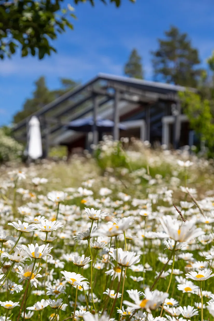 Fritidshus, Nabbenvägen 70, Torö- Nabben, Nynäshamn