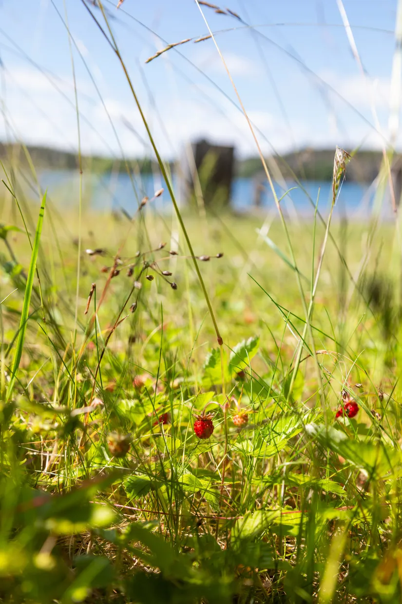 Fritidshus, Nabbenvägen 70, Torö- Nabben, Nynäshamn
