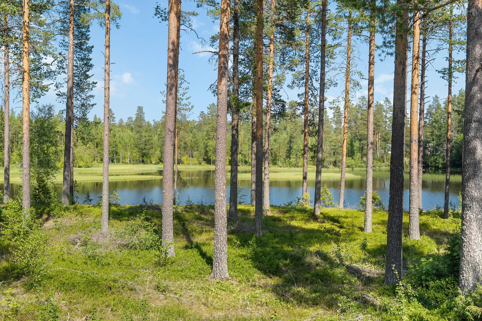 Villa, Lillsjöberg 8, Haddingen - Tavelsjö, Umeå