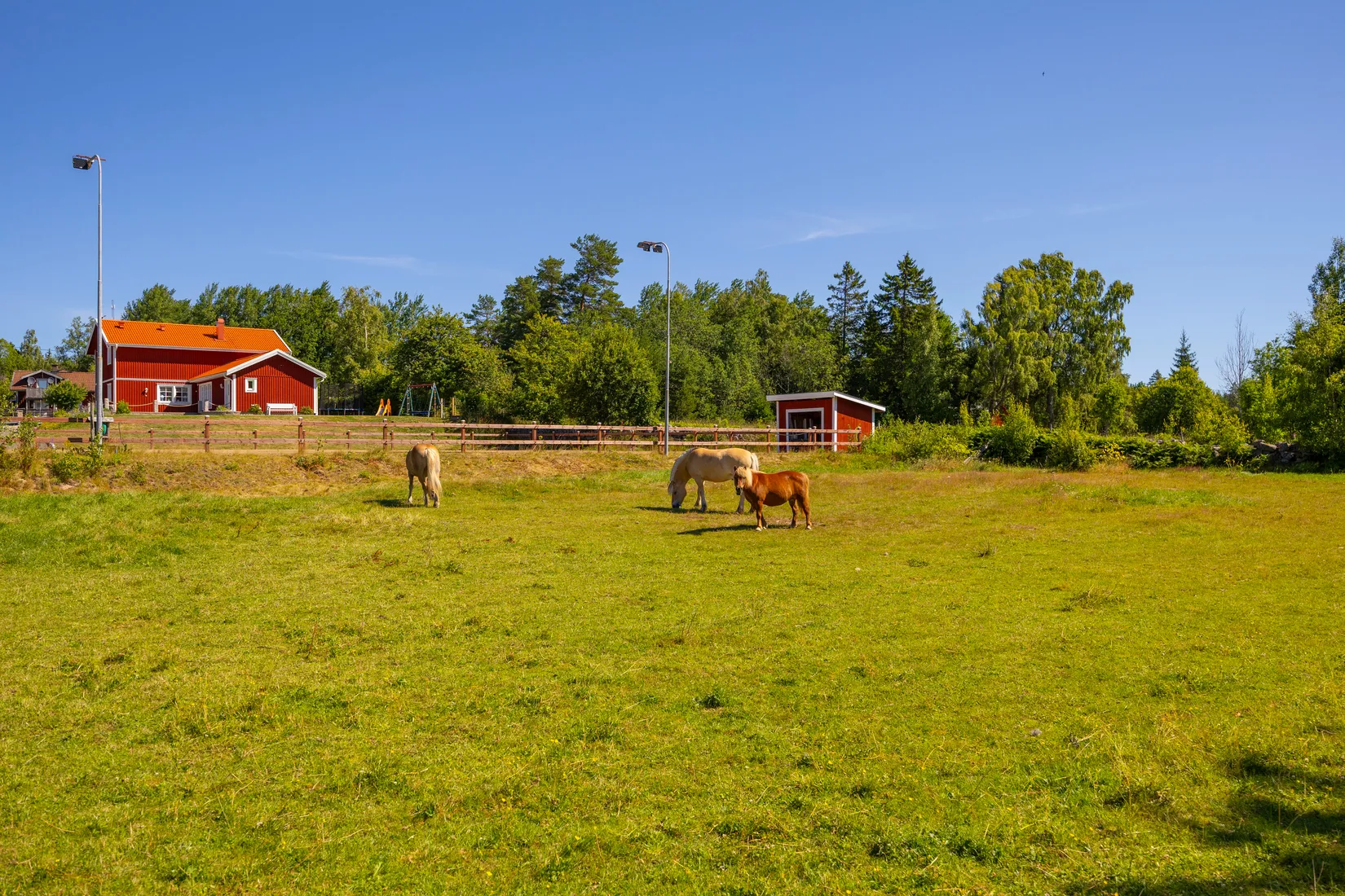 Gård/Skog, Björka Fjordingstorp 1, Aneby