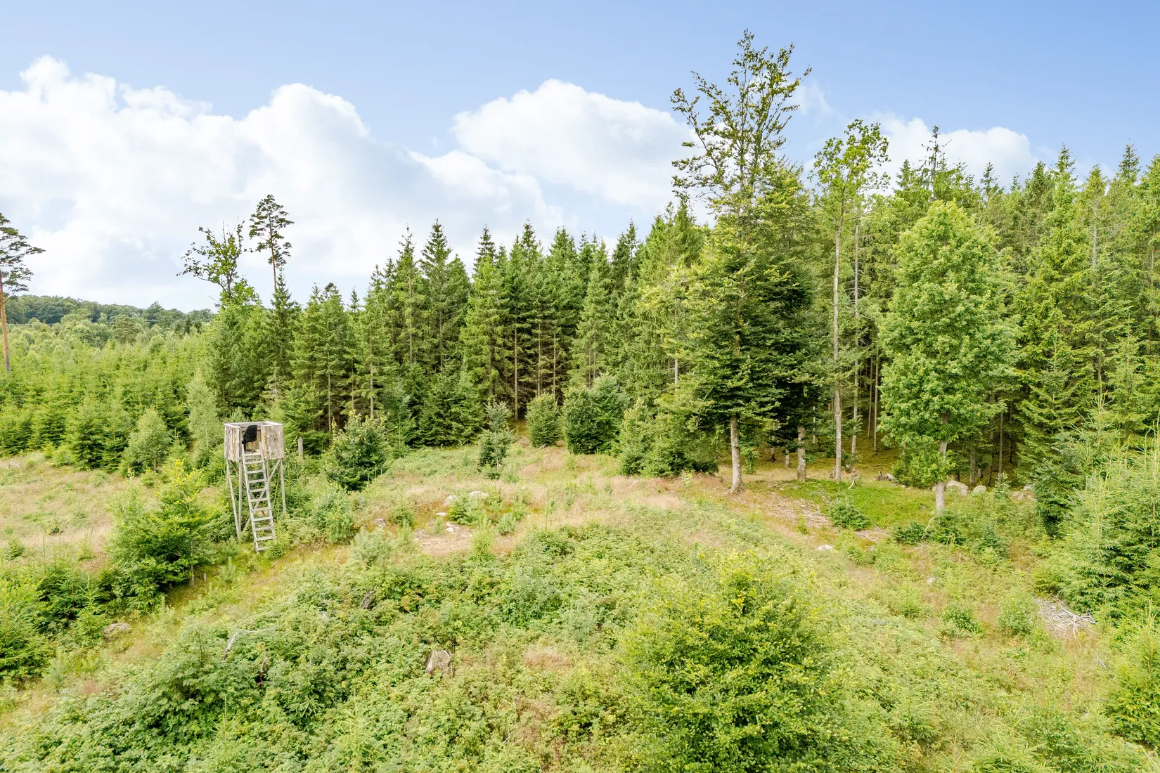 Gård/Skog, Hästhult 13:1, Vittsjö, Hässleholm