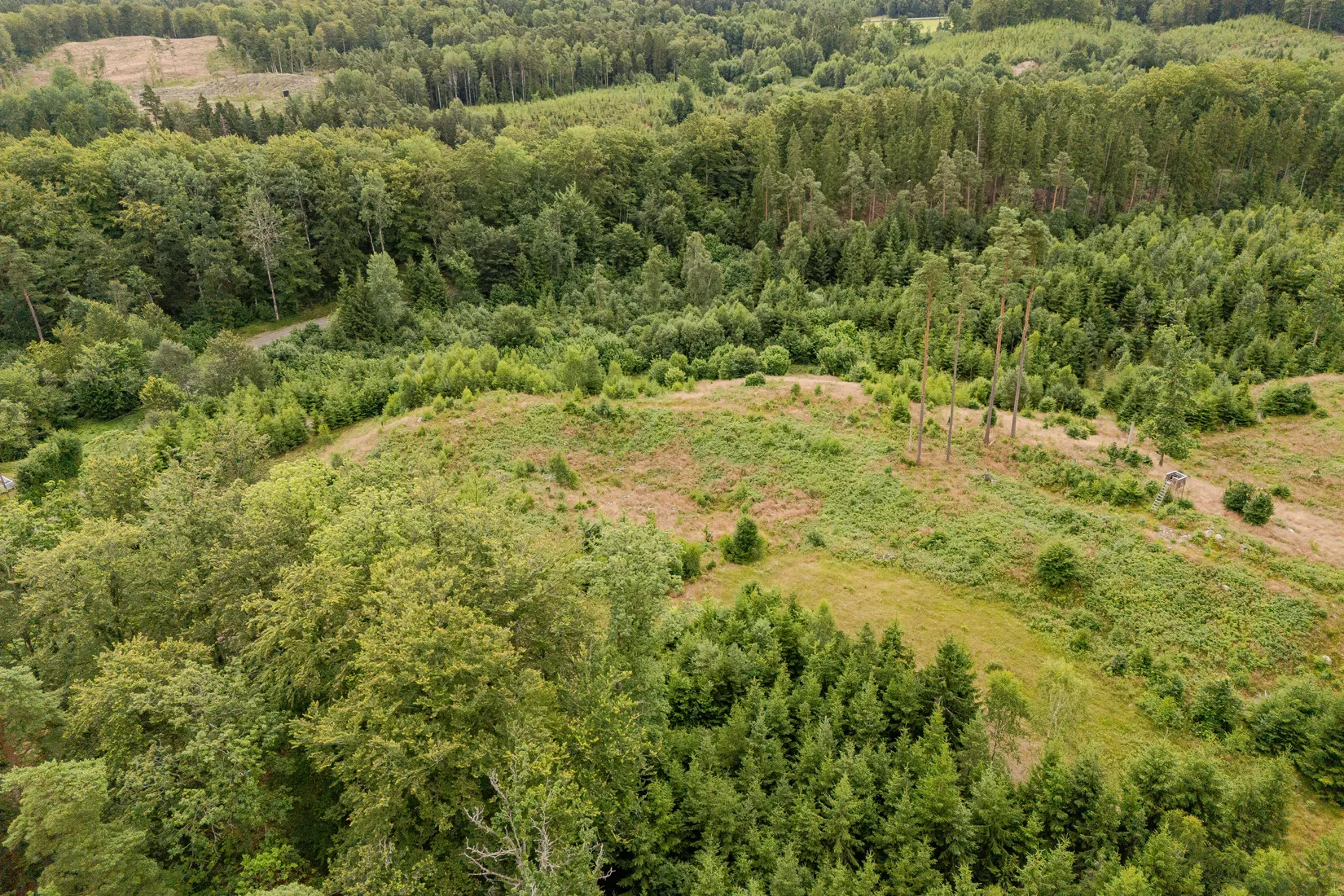 Gård/Skog, Hästhult 13:1, Vittsjö, Hässleholm