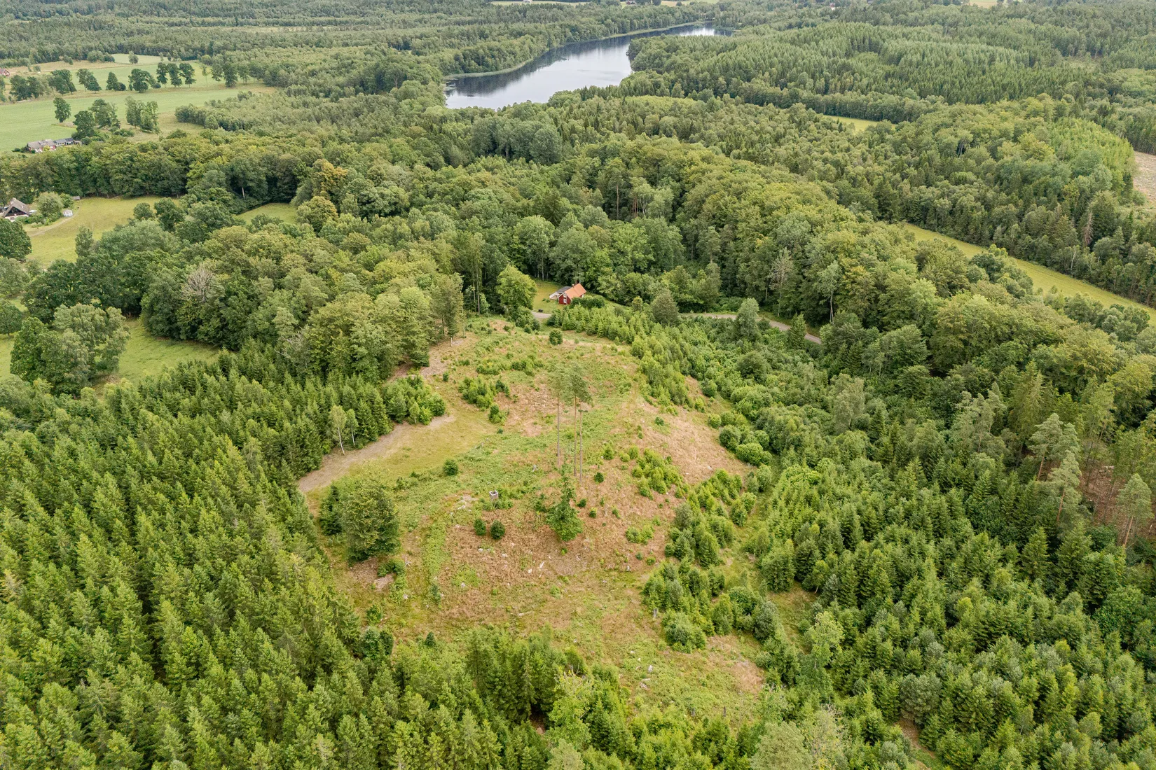 Gård/Skog, Hästhult 13:1, Vittsjö, Hässleholm
