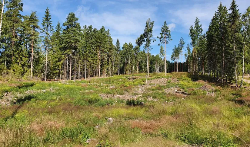 Tomt, Älgåna 1:72, Årjäng