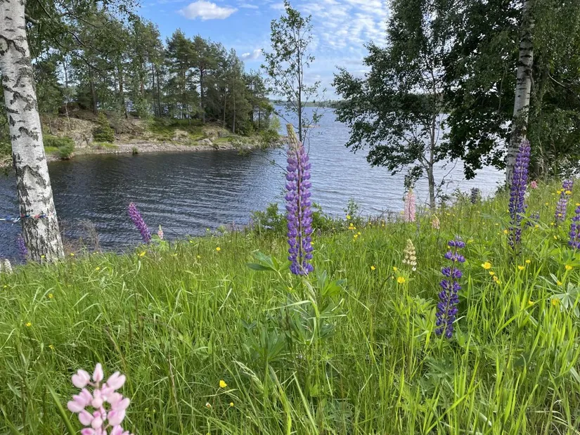 Tomt, Älgåna 1:72, Årjäng